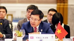 viet nam chu tri hoi nghi dac biet thao luan ve hop tac ung pho voi dich covid 19