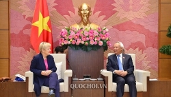 viet nam duc se co nhieu hoat dong ky niem nhan 45 nam thiet lap quan he ngoai giao