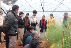 GNI giúp người dân Mường Pa (Hòa Bình) phát triển mô hình rau an toàn