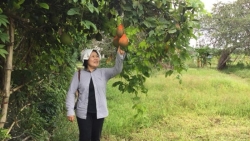 mayu inno nguoi ban nhat giup ben tre trien khai mo hinh nong nghiep huu co