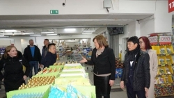 kieu bao viet nam tai sec hop tac trien khai luat eet giai doan 1 va 2