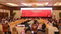 tai seom viet nam de xuat 13 uu tien cho aem hep 26