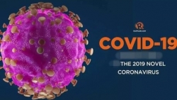 dich covid 19 dai su quan viet nam tai thuy si lap duong day nong bao ho cong dan