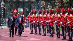 senegal mong muon thuc day quan he nhieu mat voi viet nam