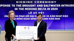 UNDP hỗ trợ 185.000 USD giúp Đồng bằng Sông Cửu Long ứng phó hạn hán và xâm nhập mặn