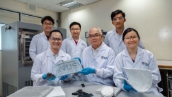 nhom nha khoa hoc singapore goc viet tai che lop xe phe lieu thanh vat lieu co tinh ung dung cao