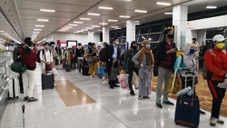 chuyen bay an do viet nam cuoi cung dua nguoi viet hoi huong