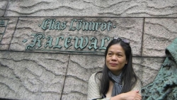 tien sy van hoc bui viet hoa nguoi noi nhip cau van hoa viet nam phan lan