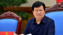 Phó Thủ tướng Trịnh Đình Dũng: "ngành chăn nuôi phải giảm giá thịt lợn ở mức hợp lý"