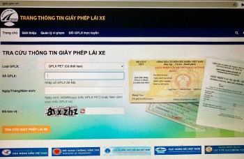 bo giao thong van tai canh bao website gia mao tra cuu giay phep lai xe