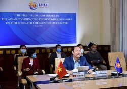 hoi nghi truc tuyen dau tien cua asean ve ung pho cac tinh huong y te cong cong khan cap