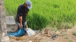 chu dong xay dung kich ban chong han moi tai nam trung bo