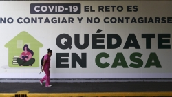 dai su quan viet nam tai mexico tich cuc ho tro cong dan phong chong dich covid 19