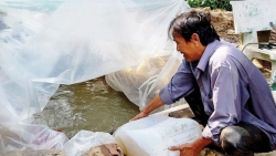 tinh trang man duy tri muc cao trong thang 4 tai cac tinh dong bang song cuu long