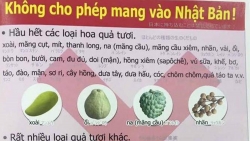 Danh sách đồ cấm mang khi nhập cảnh Nhật Bản