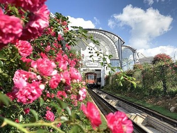 sap dien ra le hoi hoa hong lon nhat tay bac tai lao cai