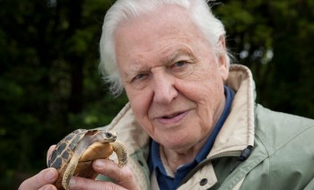 david attenborough duoc vinh danh la nha vo dich cua trai dat 2022