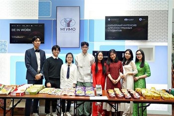 nhung ngay viet nam lan thu 7 bieu tuong cua hop tac nga viet