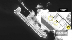 bon chuyen gia thao luan truc tuyen ngan chan hanh dong phi phap tren bien dong