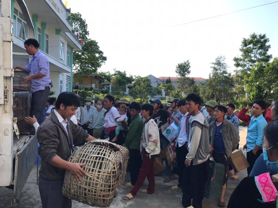 HKI tài trợ gần 2.000 con ngan giống cho người dân thuộc 5 bản, huyện Tam Đường, tỉnh Lai Châu