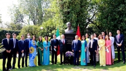 dai su quan viet nam tai 5 nuoc da to chuc nhieu hoat dong nhan ky niem 130 nam ngay sinh cua bac