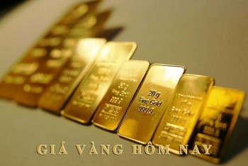 gia vang 65 sjc tang vot nua trieu dong