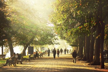 thoi tiet ngay 652022 bac bo ngay nang chieu toi co mua rao