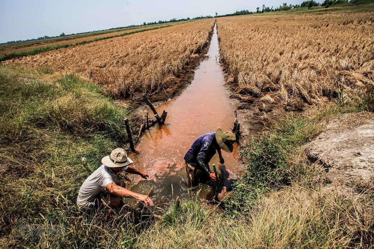 Xâm nhập mặn ở đồng bằng sông Cửu Long có chiều hướng giảm