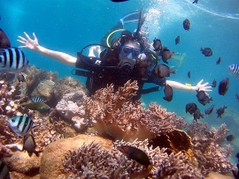 du lich nha trang co nhieu khoi sac hau covid 19