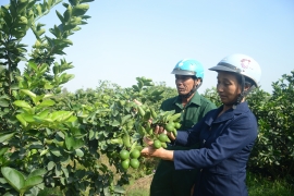 dong bao vung bien thoat ngheo nho chinh sach dung