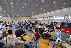 dua gan 300 cong dan viet nam tu nhieu vung cua nuoc nga ve nuoc
