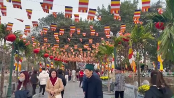 le chua dau nam tin nguong van hoa cua nguoi viet