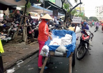 doc dao nghe ban cat lu huong dip tet nguyen dan