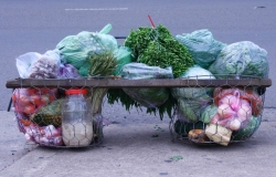 nghe hai sot o vung bien