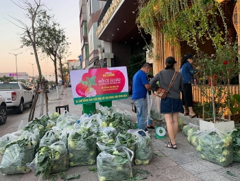 Đà Nẵng tổ chức 9 điểm bán nông sản giải cứu cho nông dân Hải Dương