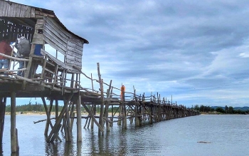 cay cau go noi doi bo xu nau