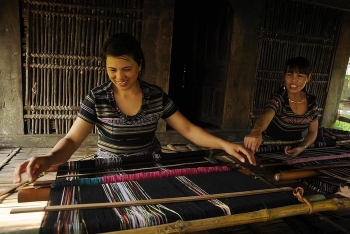 giu mau cho nghe det hre