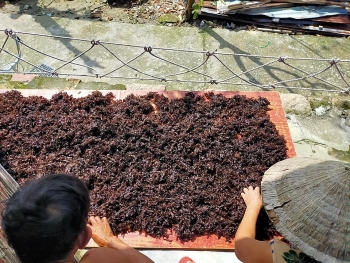 loc troi cu lao cham tien trieu moi ky