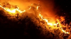 Cháy rừng ở Hà Tĩnh: Những hình ảnh nhói lòng