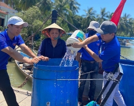 Quảng Nam: Nước sạch về 'đảo khát' Tam Hải