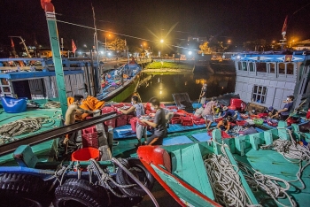 Tạm dừng hoạt động cảng cá lớn nhất Đà Nẵng