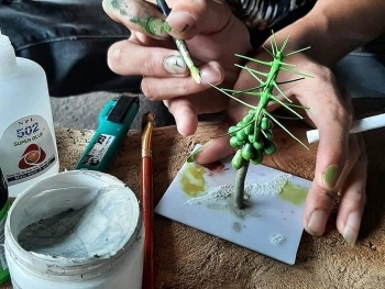 biet tai dung cay canh mini cua chang phu ho que quang ngai