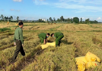 cong an da nang giup dan thu hoach lua