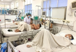Đà Nẵng: Một phụ nữ tử vong vì sốt xuất huyết