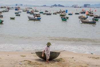 da nang phat cong dien ung pho khan cap voi bao so 5