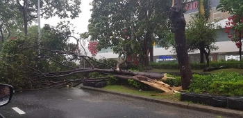 bao so 9 ap sat quang nam quang ngai bat dau gay nhieu thiet hai