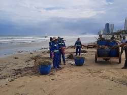 Đà Nẵng: Huy động lực lượng dọn rác hàng chục km bờ biển