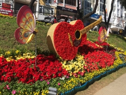 Nhiều hoạt động tưng bừng tại Festival Hoa Đà Lạt 2019