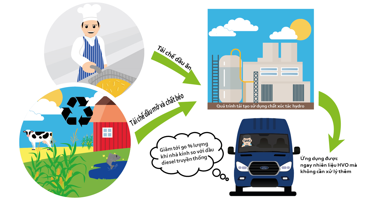 Ford Transit có thể sử dụng nhiên liệu tái chế từ dầu ăn?