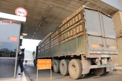Lào Cai: Tháo gỡ phần nào tình trạng ùn ứ nông sản tại cửa khẩu Kim Thành